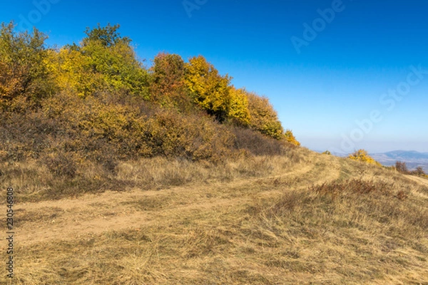 Fototapeta Amazing Autumn Panorama of Cherna Gora (Monte Negro) mountain, Pernik Region, Bulgaria