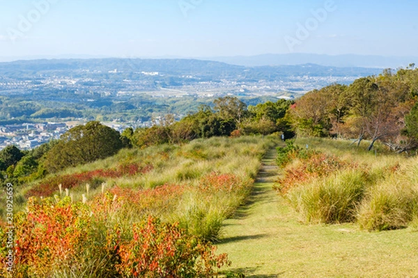 Fototapeta 若草山と奈良の町