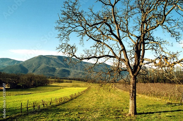 Fototapeta paysage de savoie