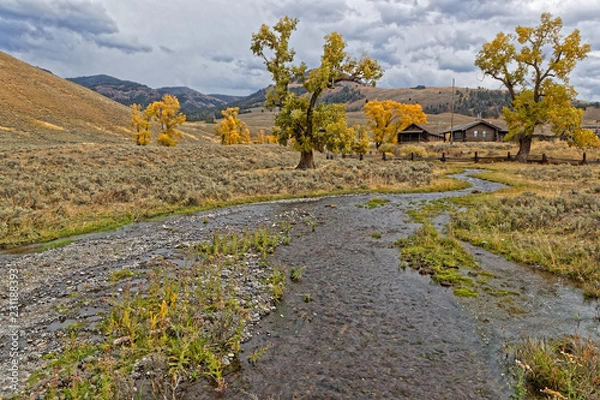 Fototapeta Small river near the rangers house of Yellowstone National Park