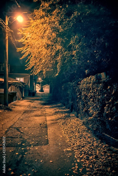 Fototapeta Dark and spooky vintage downtown urban city street alley with illuminated fall autumn tree leaves at night