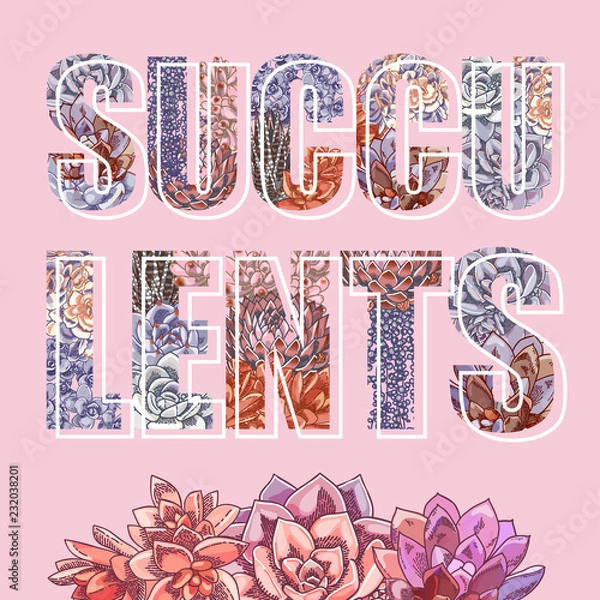 Fototapeta Vector lettering decorated with plants. The word "succulents". Floral botanical illustration.