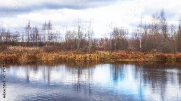 Fototapeta lake in the forest