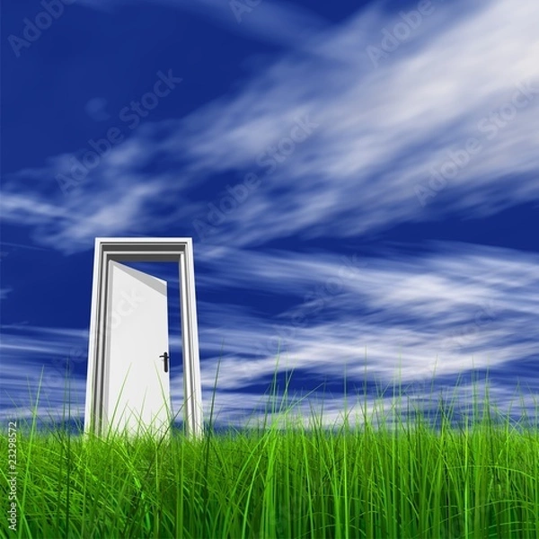 Fototapeta High resolution 3D white door opened in grass to the sky