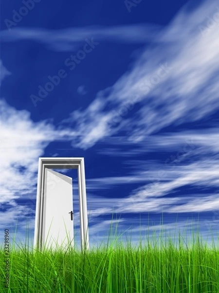 Fototapeta High resolution 3D white door opened in grass to the sky