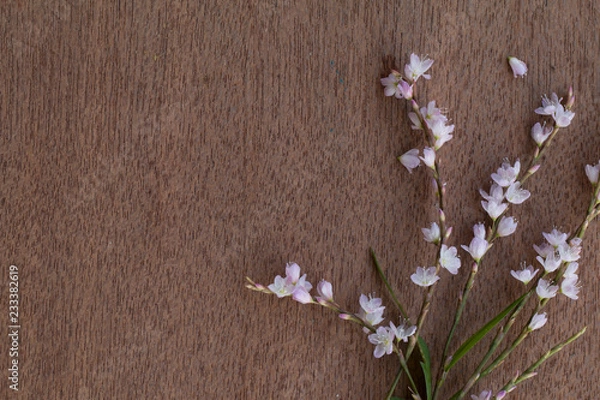 Obraz Vintage wooden background with pink flowers