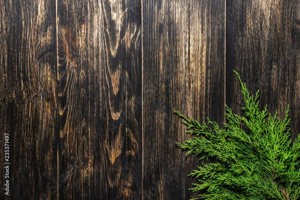 Fototapeta Fir branches on a dark vintage wooden background