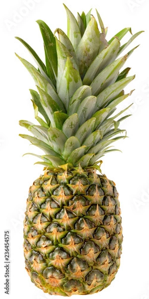 Fototapeta Ripe pineapple isolated