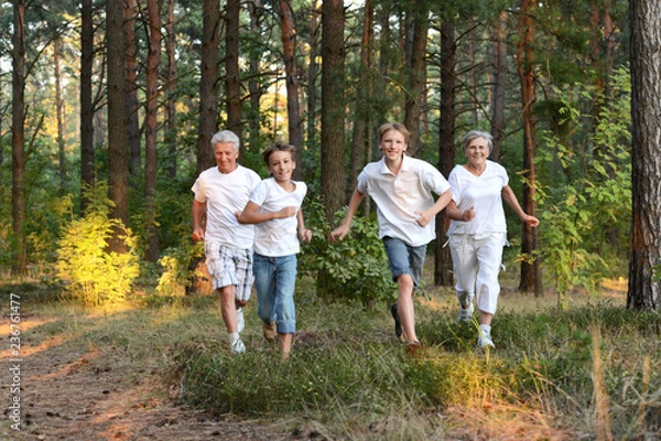 Fototapeta Cheerful boys with his grandparents having fun in summer forest