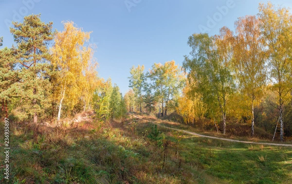 Fototapeta Hillside with autumn forest, glade and footpath