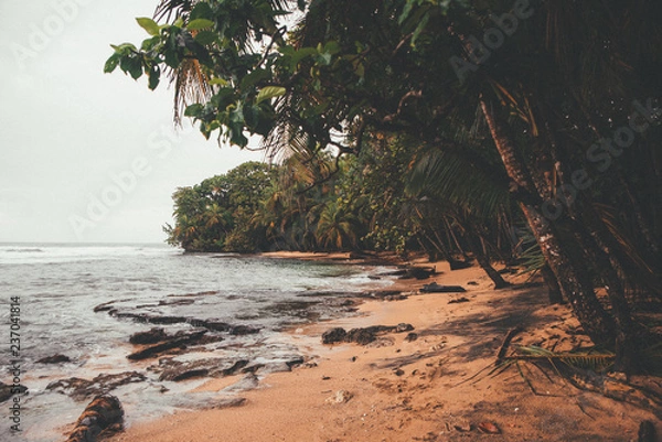 Fototapeta Playa Manzanillo en el Mar Caribe Costa Rica