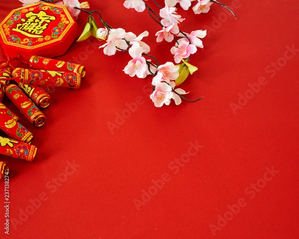 Fototapeta chinese new year festival plum flowers