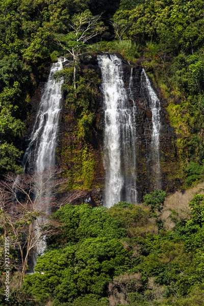 Fototapeta Opaakea Falls, Kauai