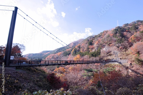 Fototapeta 日光市　鬼怒川温泉　鬼怒盾岩大吊橋