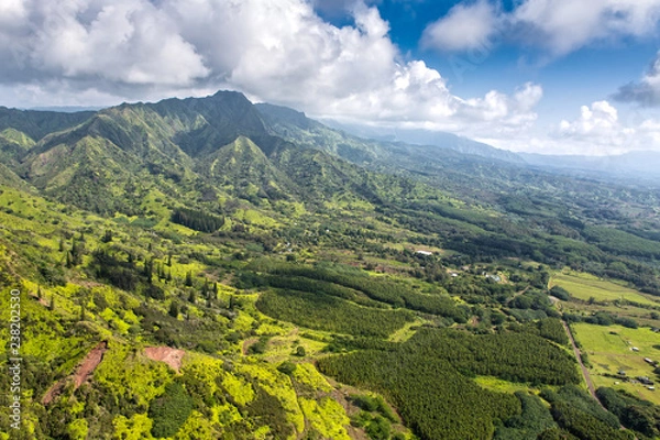 Fototapeta Aeial View over the Garden Island Kauai in Hawaii, USA