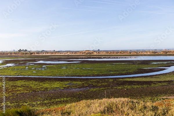 Fototapeta View of a field