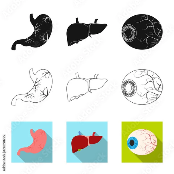 Fototapeta Isolated object of body and human symbol. Set of body and medical vector icon for stock.