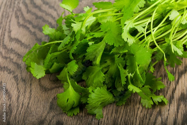 Fototapeta Coriander