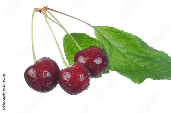 Fototapeta Ripe sweet cherry. Close-up. Isolated on white