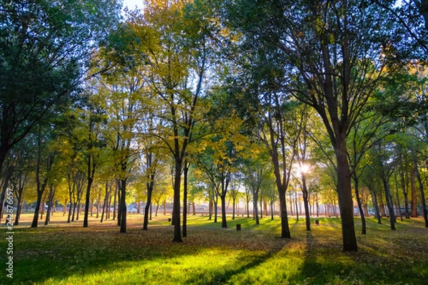 Fototapeta 夕陽の公園 スペイン セゴビア