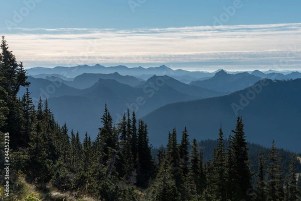 Fototapeta Mount Rainer Nationalpark 05