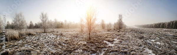 Fototapeta Winter landscape of snow and frost with free space for your decoration 