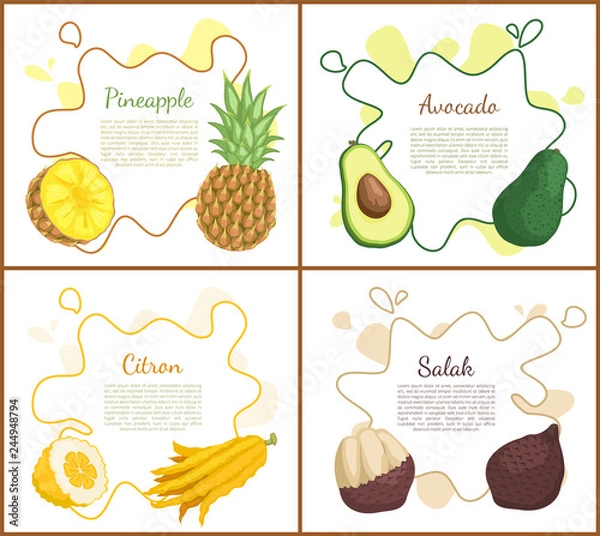 Fototapeta Pineapple and Avocado Posters Vector Illustration