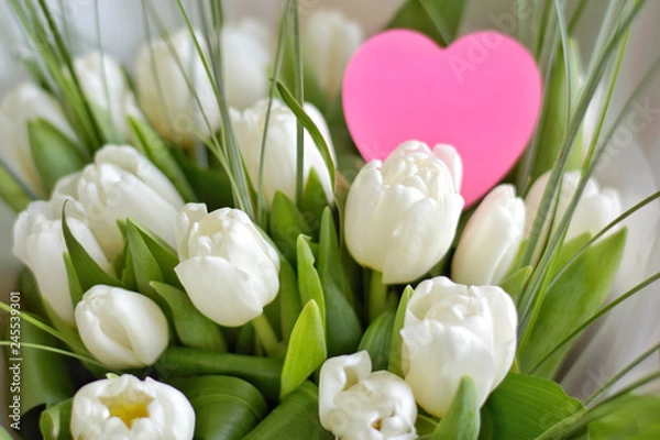 Fototapeta Bouquet of white beautiful tulips with tender petals and fresh green leaves with selective focus and blurred pink heart card for romantic valentines or mothers day. Spring bunch of flowers