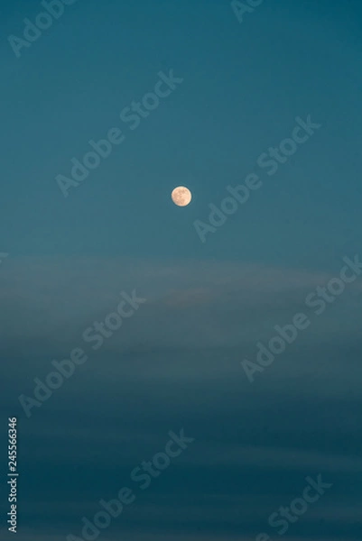 Fototapeta The moon in a blue night time sky