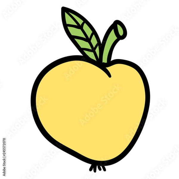 Obraz Cartoon doodle linear apple isolated on white background. Vector illustration.  