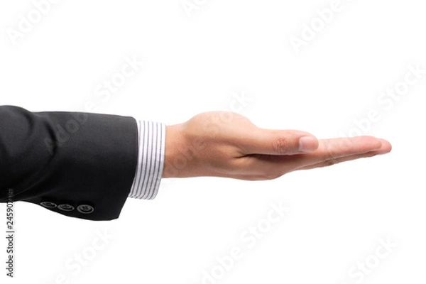 Fototapeta Businessman's hand is holding something. clipping path.