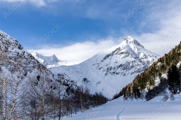 Fototapeta Grossvenediger and Innergschloess valley in winter