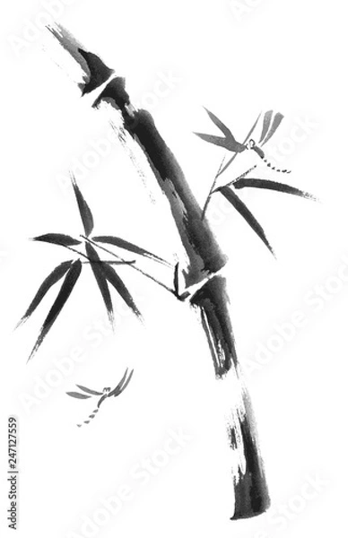 Fototapeta Bamboo branches isolated on the white background. Vector watercolor painting.