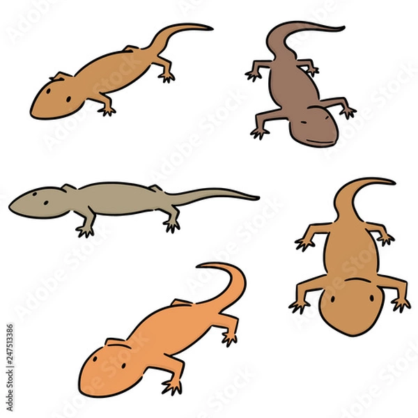 Fototapeta vector set of lizards