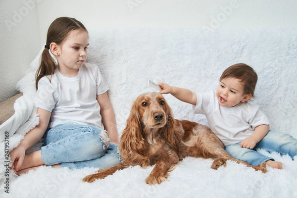 Fototapeta Two baby girls, sisters play on white sofa with red dog.