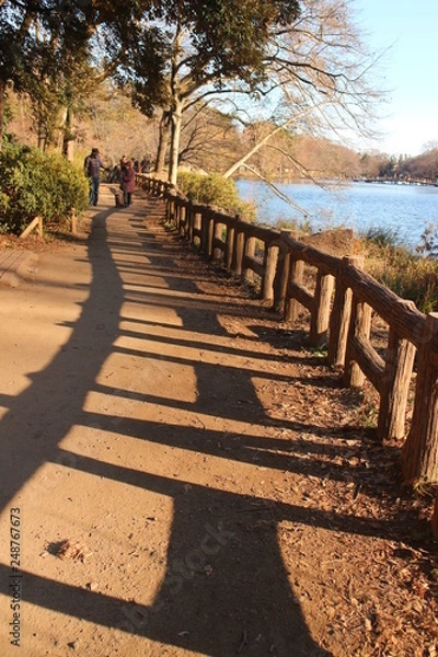 Fototapeta 散歩道