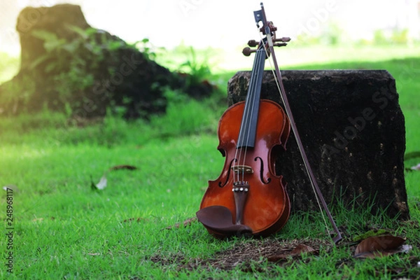 Fototapeta violin on green background