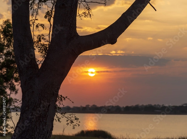 Fototapeta Landscape at sunset