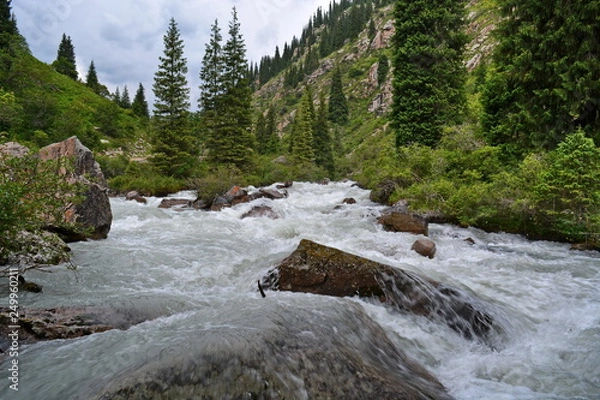 Fototapeta Speed turbulent water stream with white foam in the mountain river between rocks and boulders after hard rain. Shot at long exposure, blurred water