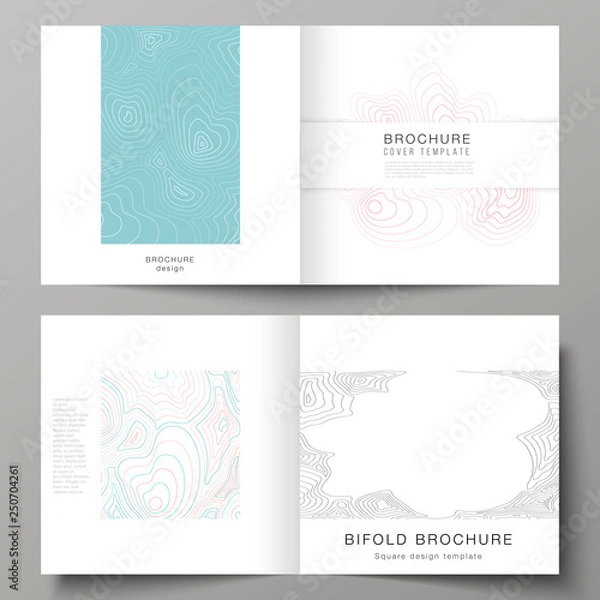 Fototapeta The vector illustration of the editable layout of two covers templates for square design bifold brochure, magazine, flyer, booklet. Topographic contour map, abstract monochrome background.