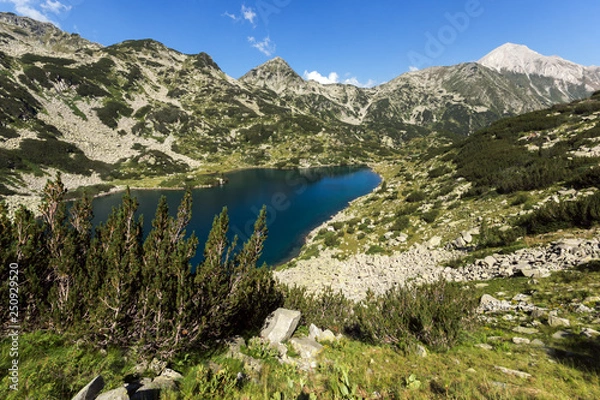 Fototapeta Summer landscape of Banderitsa Fish lake, Pirin Mountain, Bulgaria