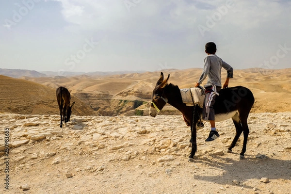 Fototapeta The boy on a donkey against the background of the  Judaean Desert, Israel.  13-09-2015