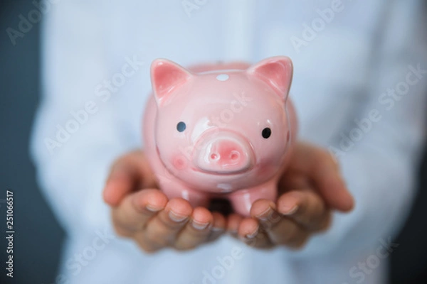 Fototapeta a man hand  piggy bank