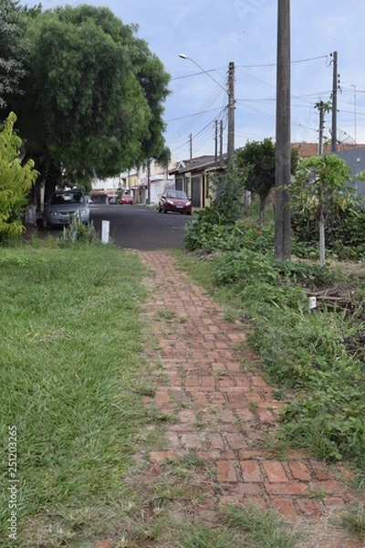 Fototapeta Calçada de tijolo em gramado