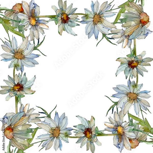 Fototapeta Daisy floral botanical flower. Watercolor background illustration set. Frame border ornament square.