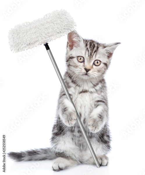 Fototapeta Cleaning concept. Kitten holds mop in paw. Isolated on white background