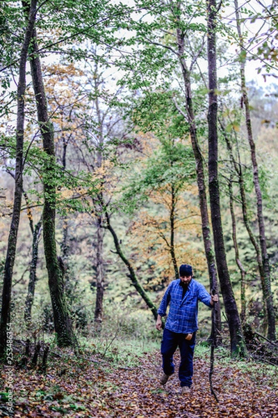 Fototapeta Hiker - man hiking in forest