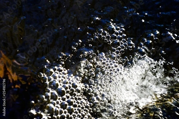 Fototapeta bubbling water in a pond