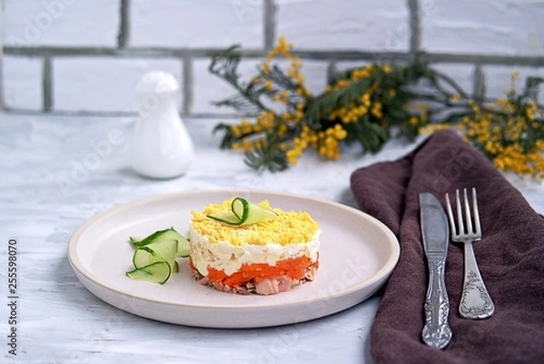 Fototapeta Traditional Russian salad Mimosa with boiled pink salmon, carrots, onions and eggs on a gray concrete background. Served on ceramic plates, decorated with sliced fresh cucumber