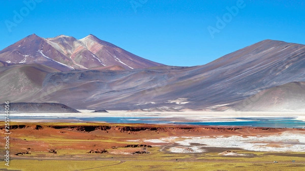 Fototapeta Beautiful Piedras Rojas in the Atacama desert, Chile. 